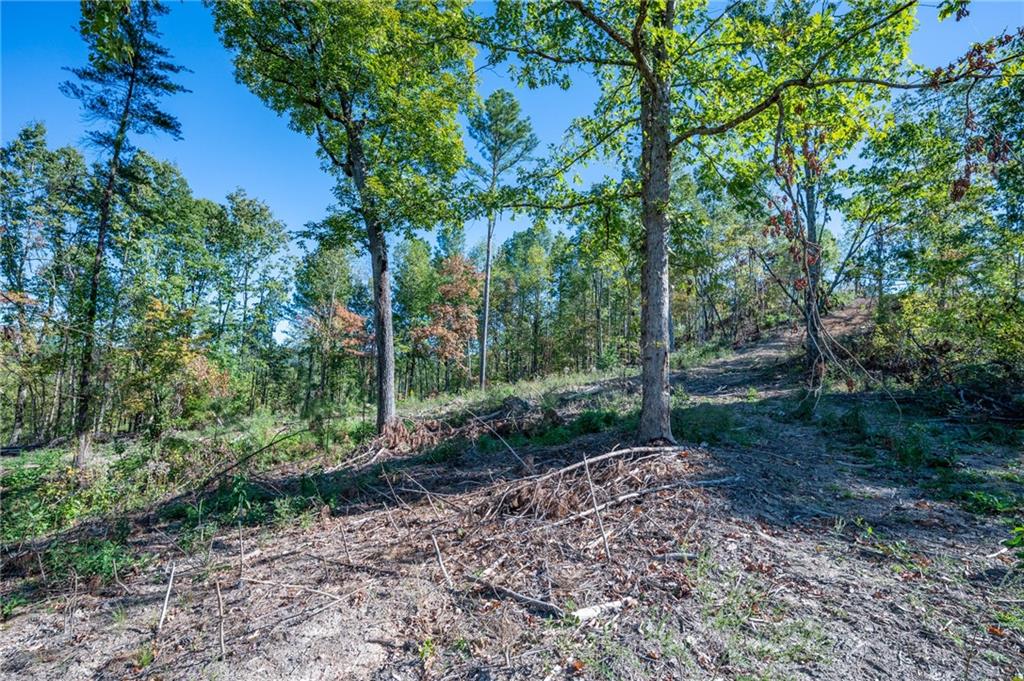 3875 Hwy 140 Ne Rydal Ga 30171 Northeast Rydal, GA 30171 - Photo 7 of 13