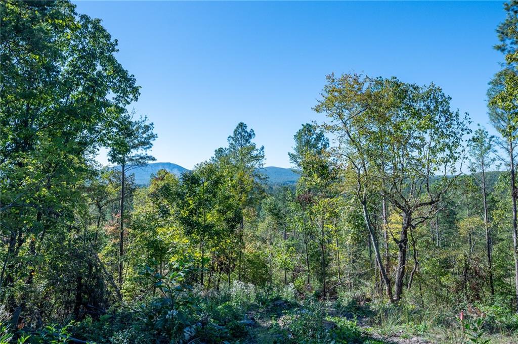 3875 Hwy 140 Ne Rydal Ga 30171 Northeast Rydal, GA 30171 - Photo 8 of 13