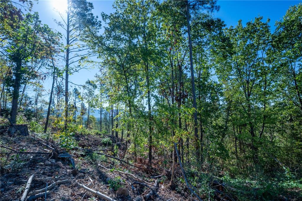 3875 Hwy 140 Ne Rydal Ga 30171 Northeast Rydal, GA 30171 - Photo 9 of 13