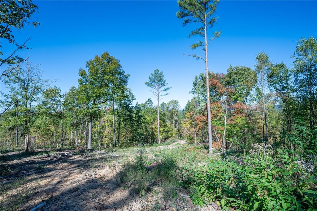 3875 Hwy 140 Ne Rydal Ga 30171 Northeast Rydal, GA 30171 - Photo 10 of 13