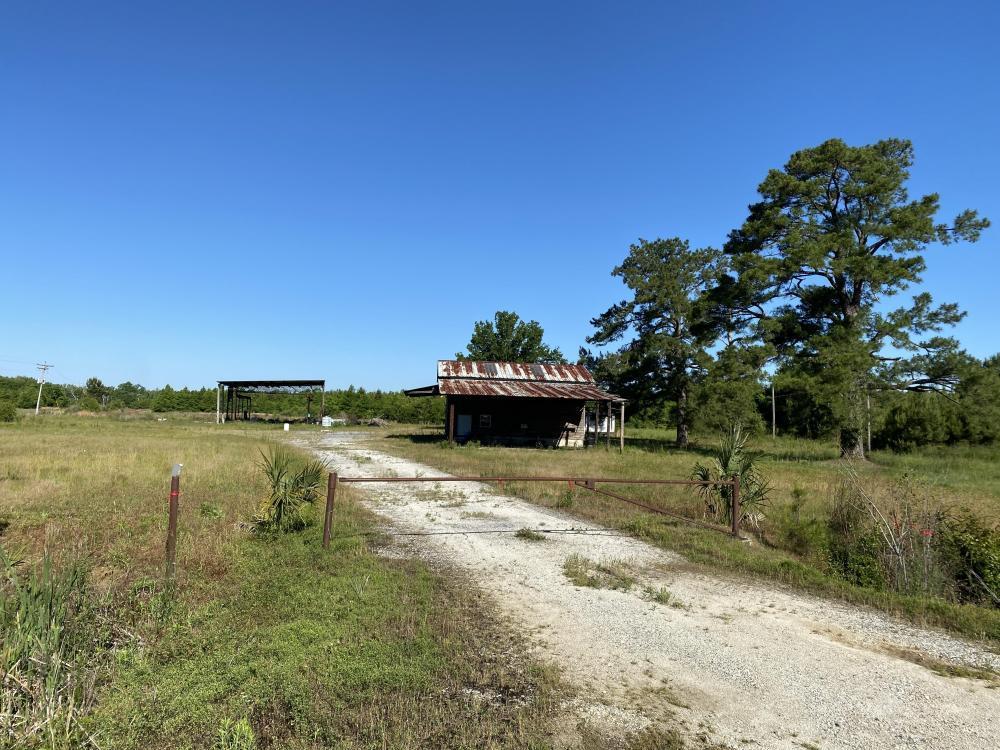 0 The Twins Road Kingstree, SC 29556 - Photo 3 of 12 3
