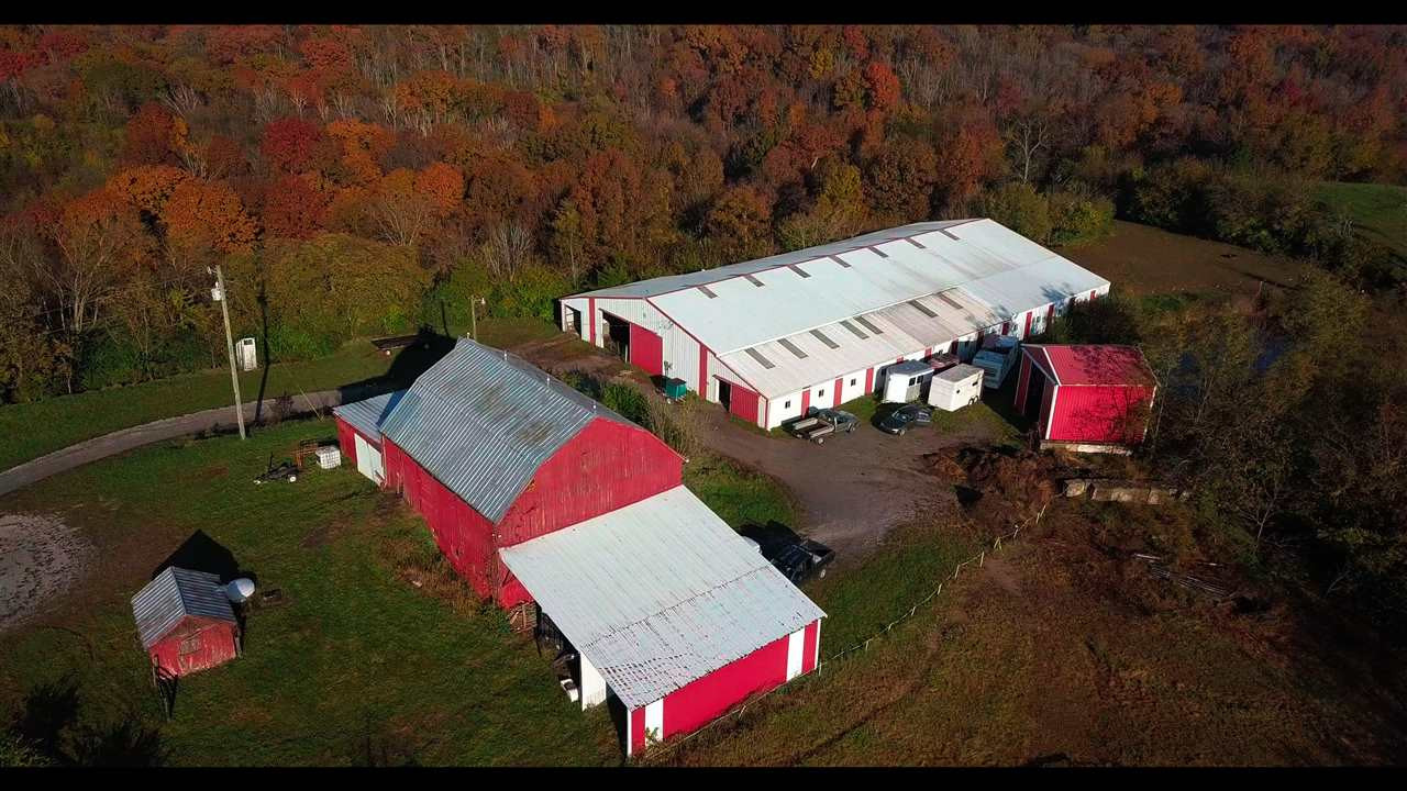 3162 Daniels Road California, KY 41007 - Photo 10 of 15 Gallery Image 10
