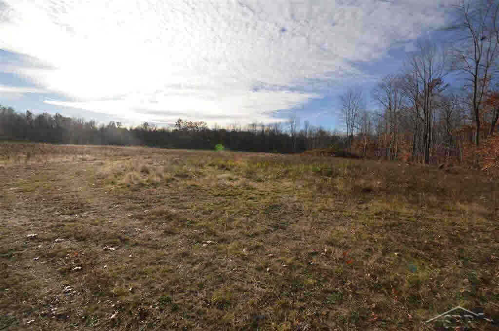 0 O Obrien Road Vassar, MI 48768 - Photo 3 of 6