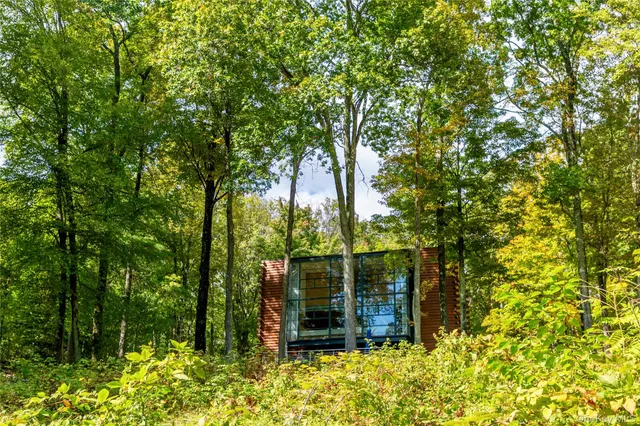 a view of outdoor space with trees all around