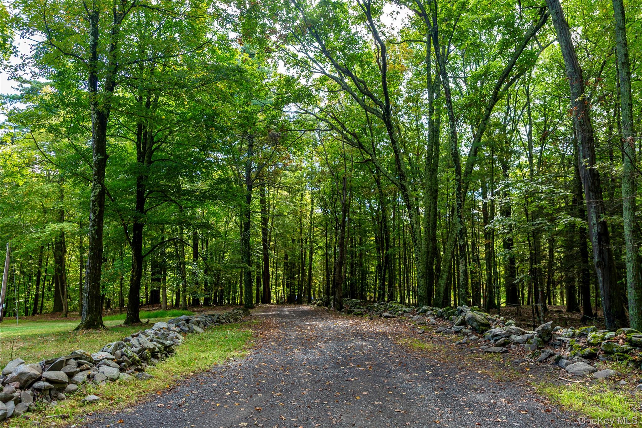39 Hornbeck Road Accord, NY 12404 - Photo 21 of 24 a view of outdoor space with trees all around
