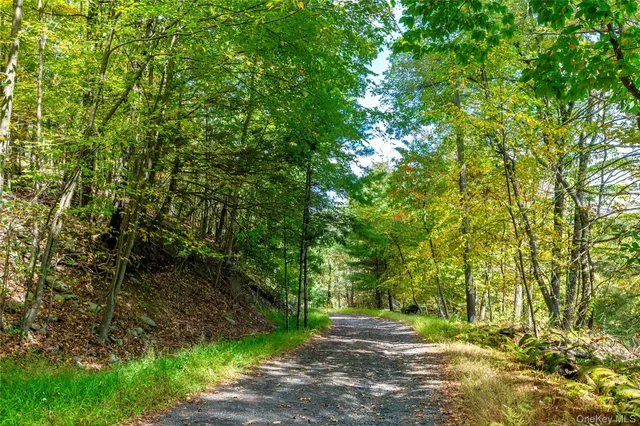 a view of a city with lush green forest
