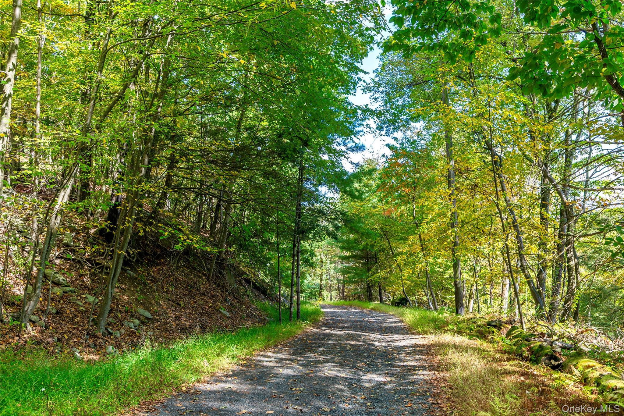 39 Hornbeck Road Accord, NY 12404 - Photo 22 of 24 a view of a yard with plants and large trees