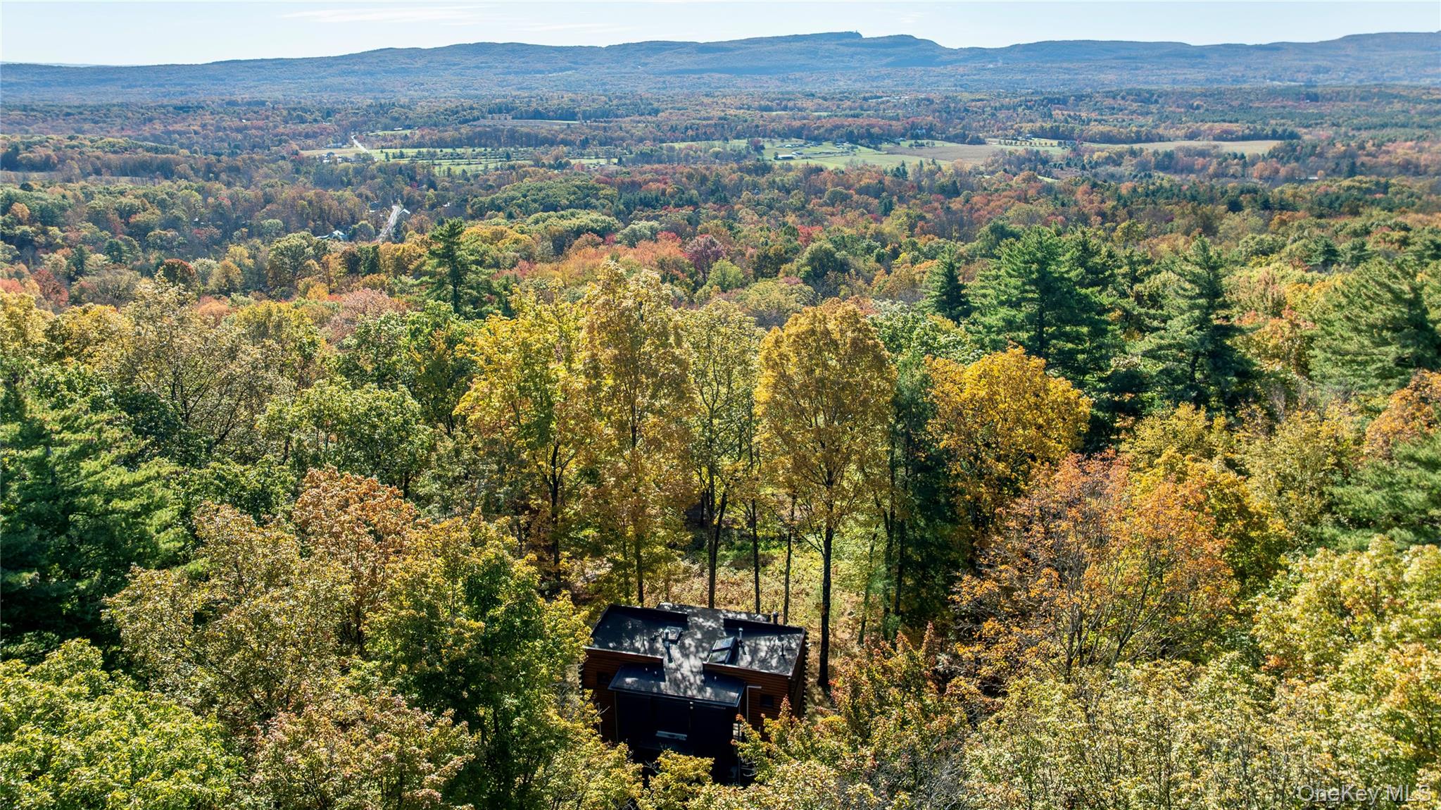 39 Hornbeck Road Accord, NY 12404 - Photo 24 of 24 an aerial view of residential house and outdoor space