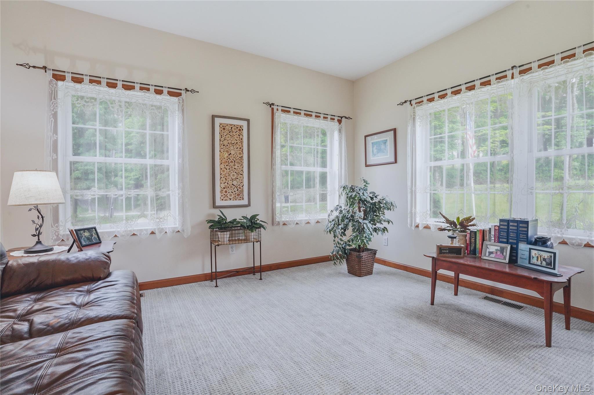 226 Cart Road, Unit C Dover Plains, NY 12522 - Photo 10 of 47 front dent with grey carpet and lots of natural light