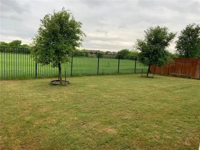 a view of a tree in a park