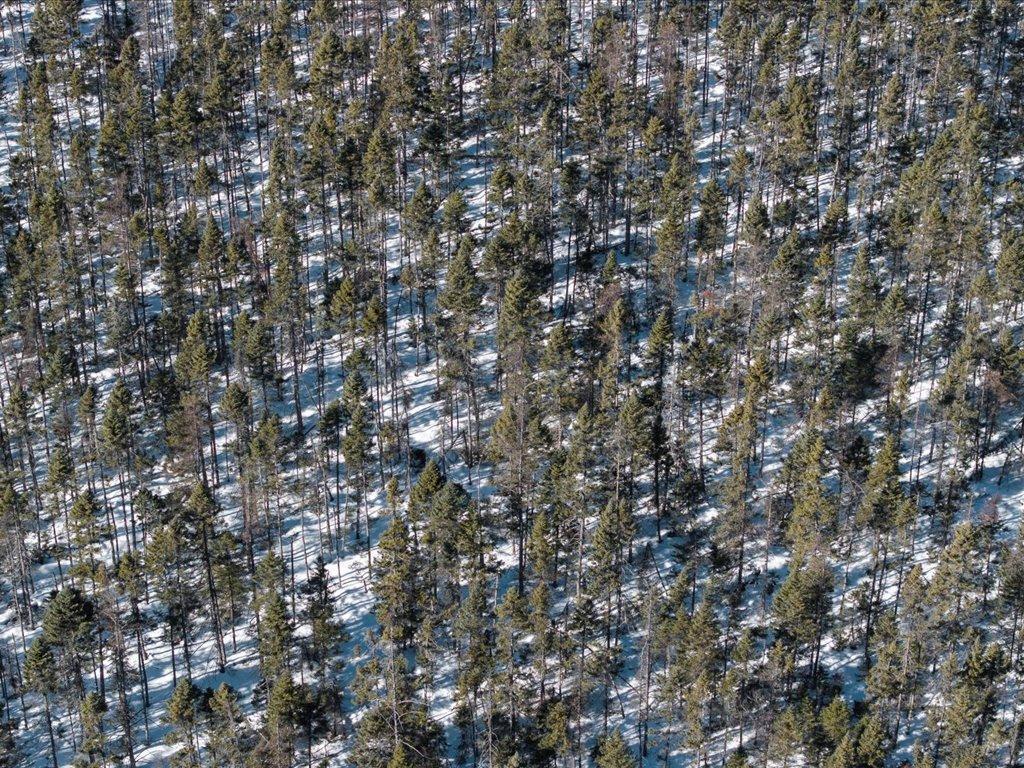 Tbd 30th Avenue Mora, MN 55051 - Photo 12 of 31