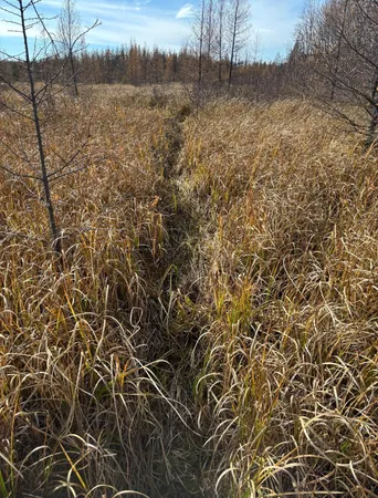 $139,900 | Tbd 30th Avenue, Mora, MN 55051