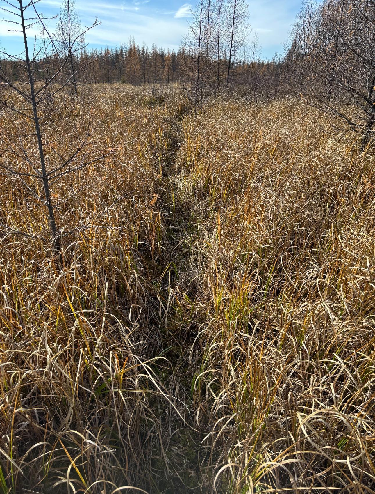 Tbd 30th Avenue Mora, MN 55051 - Photo 19 of 31