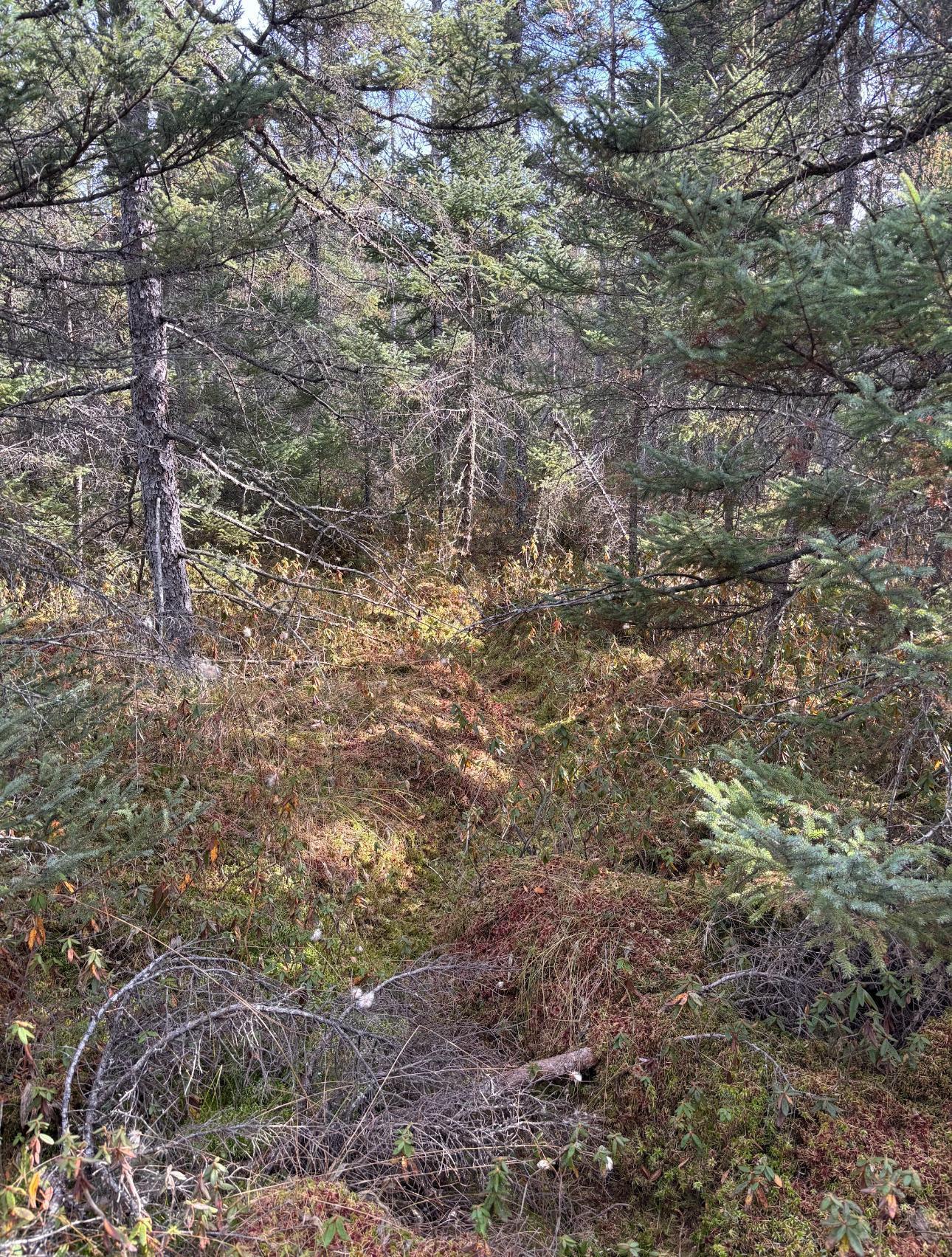 Tbd 30th Avenue Mora, MN 55051 - Photo 22 of 31