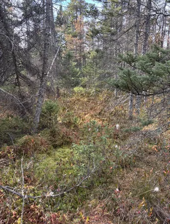 $139,900 | Tbd 30th Avenue, Mora, MN 55051