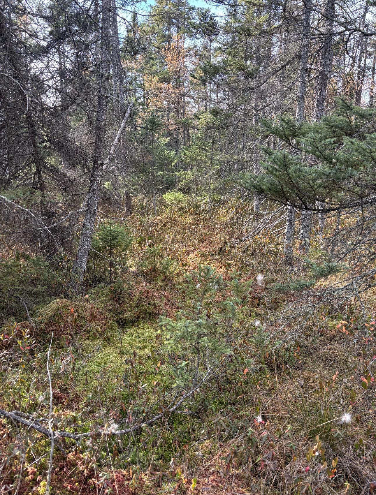 Tbd 30th Avenue Mora, MN 55051 - Photo 29 of 31