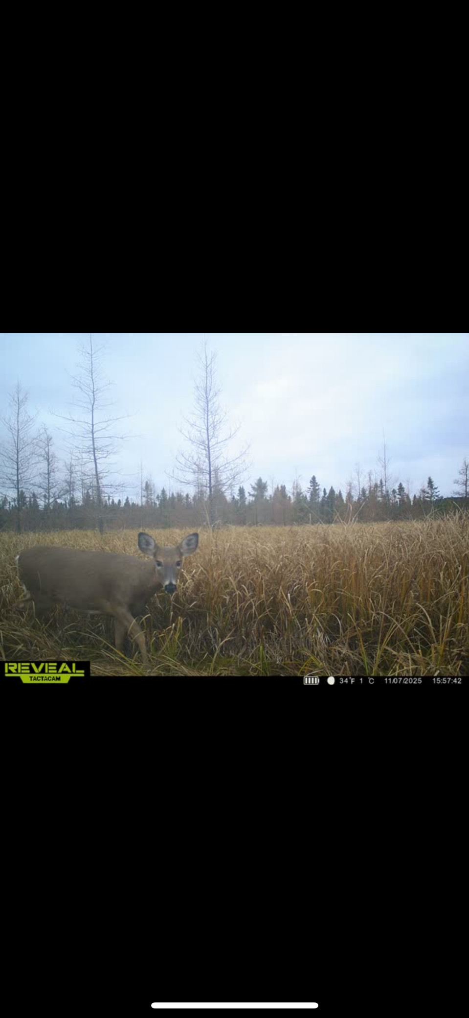 Tbd 30th Avenue Mora, MN 55051 - Photo 30 of 31