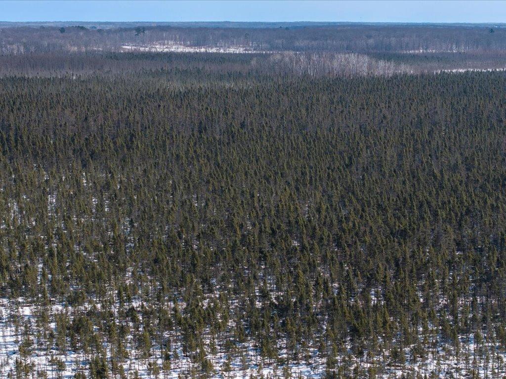 Tbd 30th Avenue Mora, MN 55051 - Photo 4 of 31