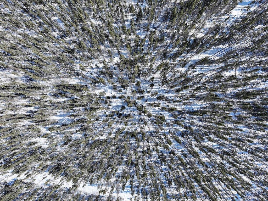 Tbd 30th Avenue Mora, MN 55051 - Photo 5 of 31