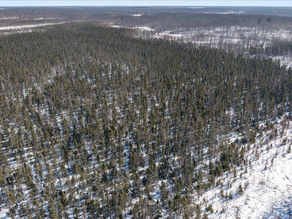 Tbd 30th Avenue Mora, MN 55051 - Photo 10 of 31