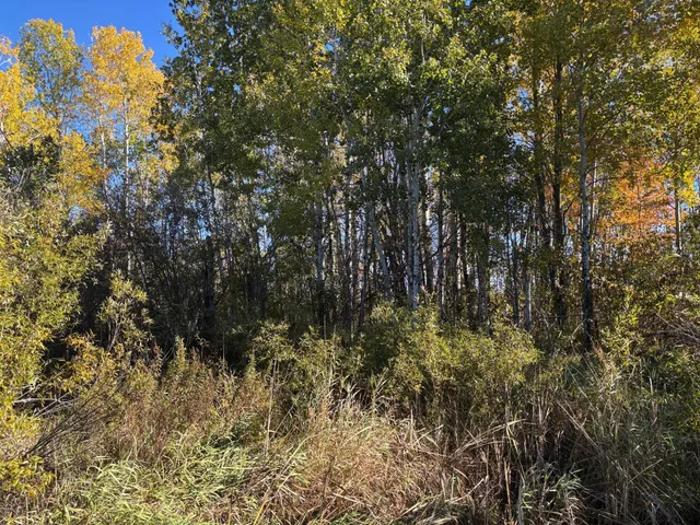 $195,000 | 28532 460th Lane, Palisade, MN 56469