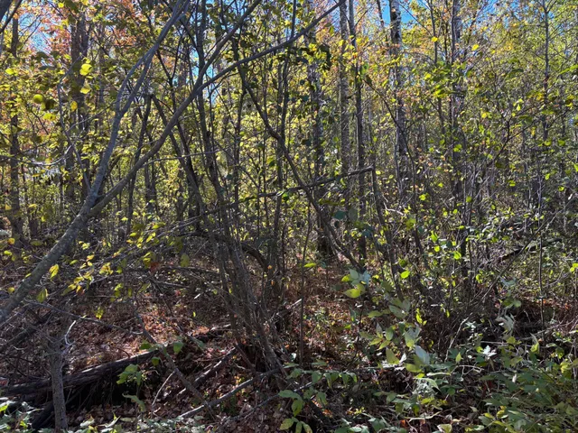 $195,000 | 28532 460th Lane, Palisade, MN 56469