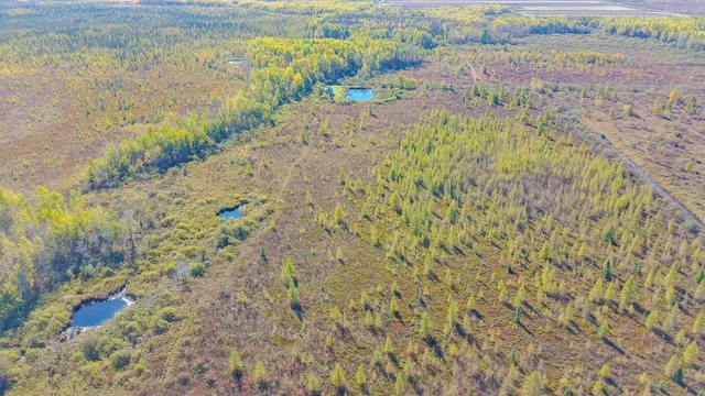 $195,000 | 28532 460th Lane, Palisade, MN 56469