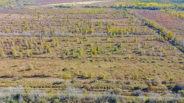 $195,000 | 28532 460th Lane, Palisade, MN 56469