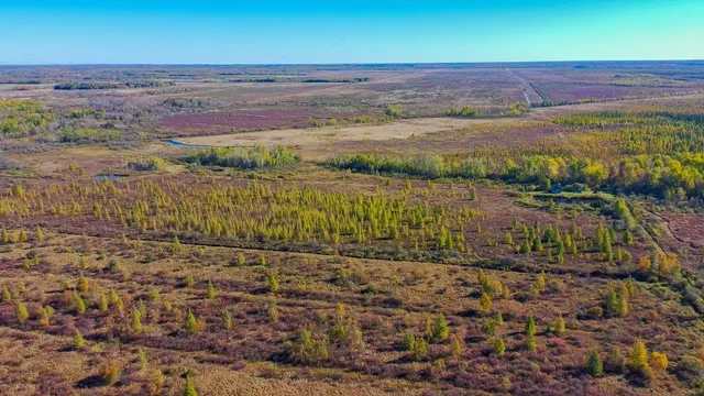 $195,000 | 28532 460th Lane, Palisade, MN 56469