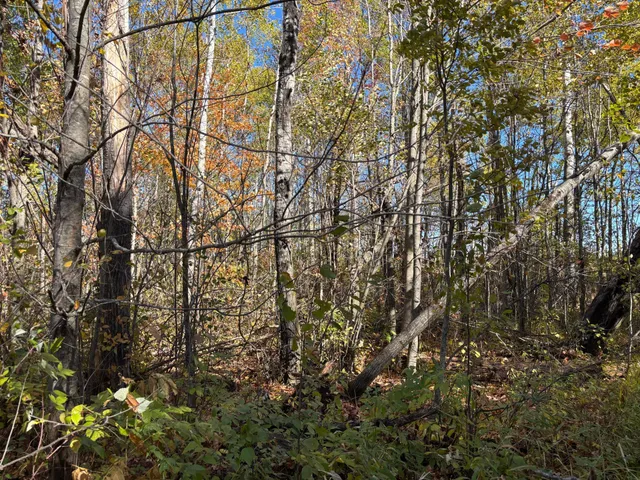 $195,000 | 28532 460th Lane, Palisade, MN 56469