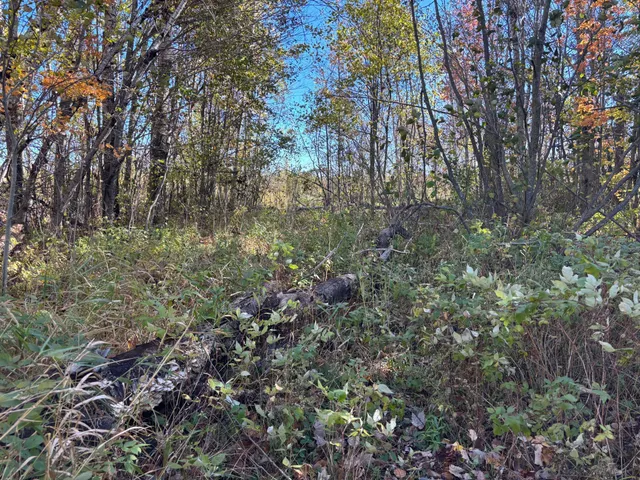 $195,000 | 28532 460th Lane, Palisade, MN 56469