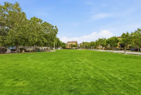 a view of yard with green space and trees