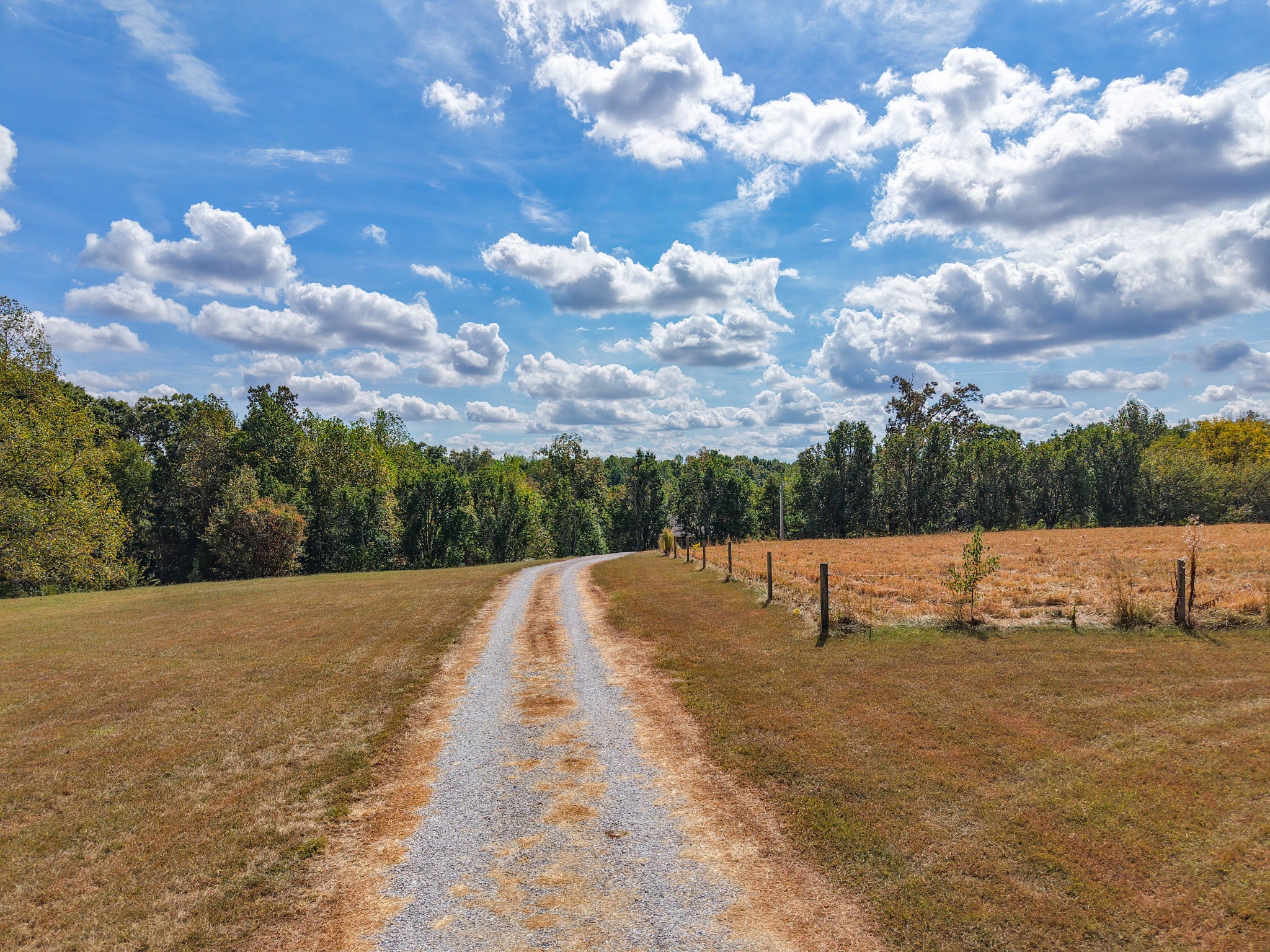 97 Shannon Road Leoma, TN 38468 - Photo 19 of 21 Gallery Image 19