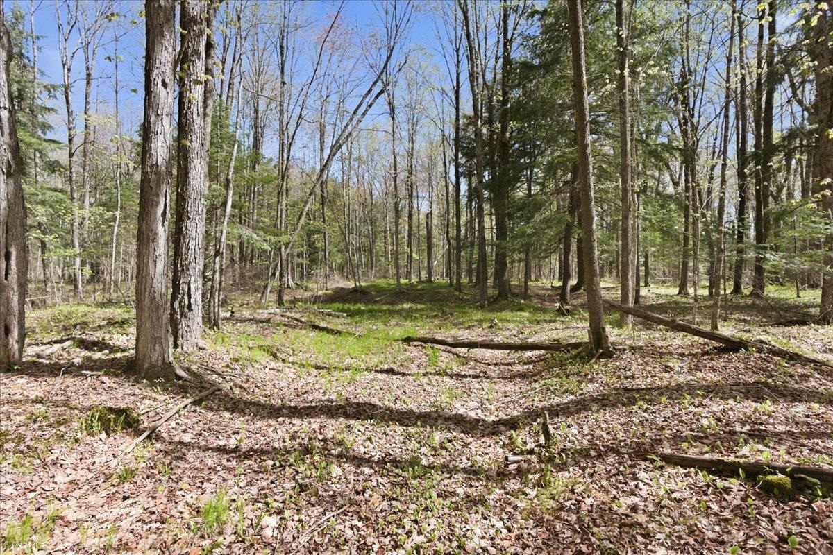 W585 Strucker Road Ogema, WI 54459 - Photo 24 of 55