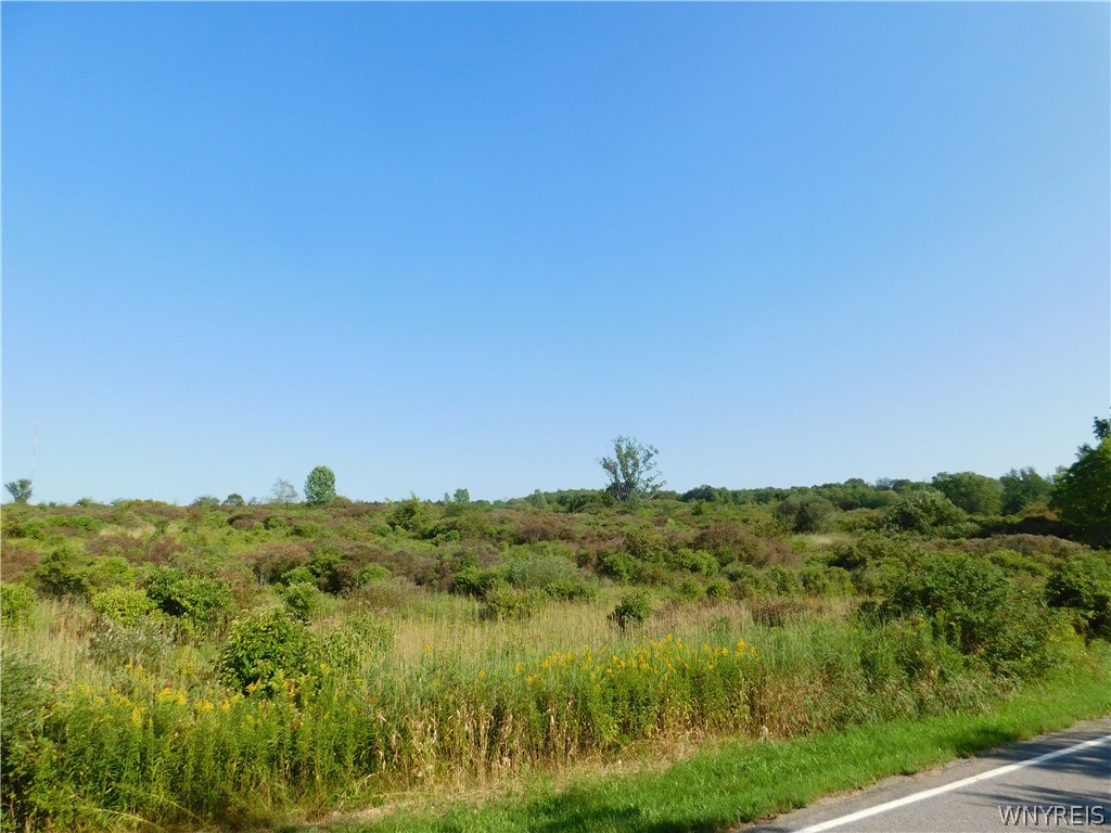 9226 Partridge Road Colden, NY 14033 - Photo 1 of 1