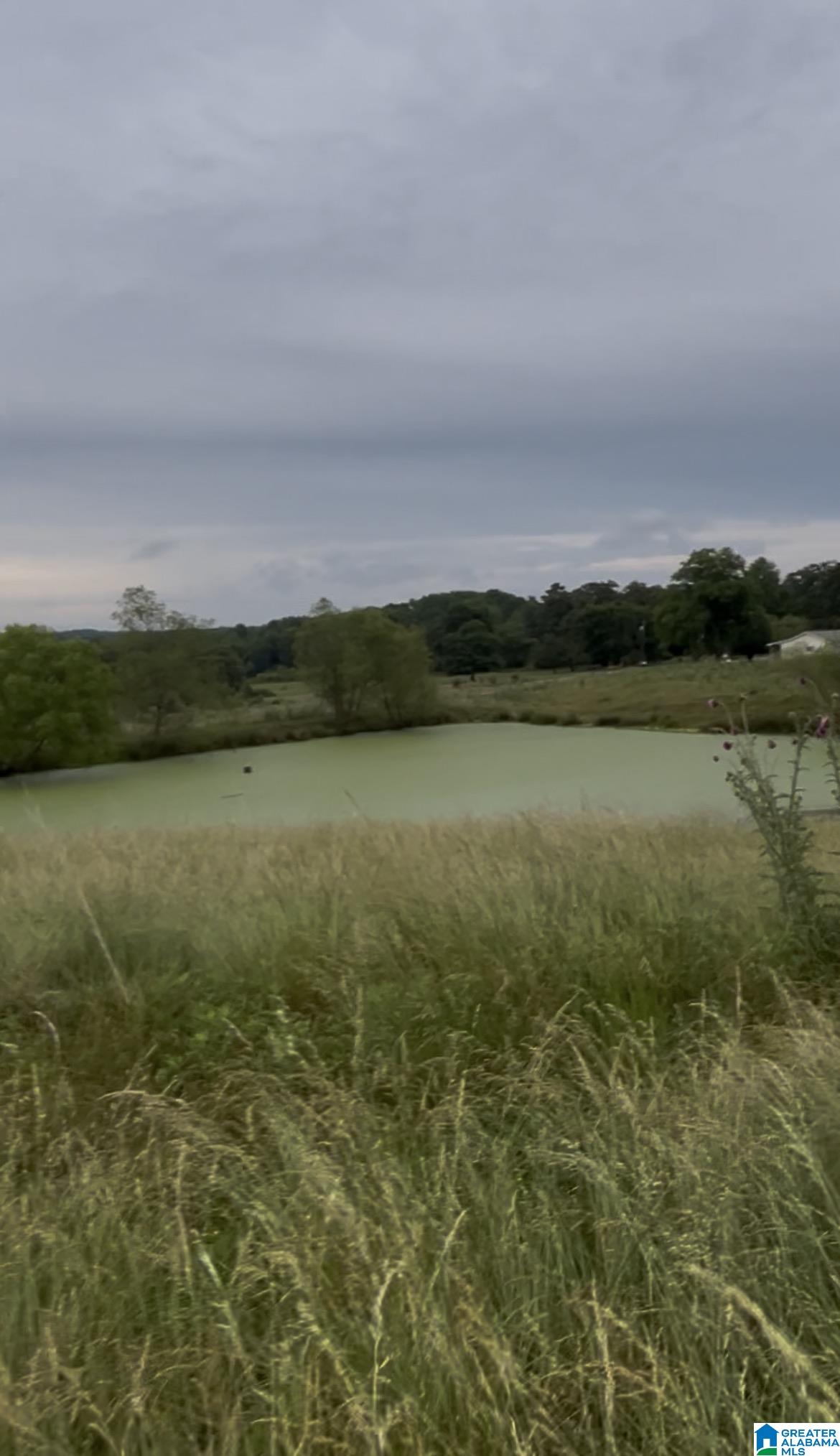 121 Black Bottom Road Boaz, AL 35956 - Photo 15 of 16