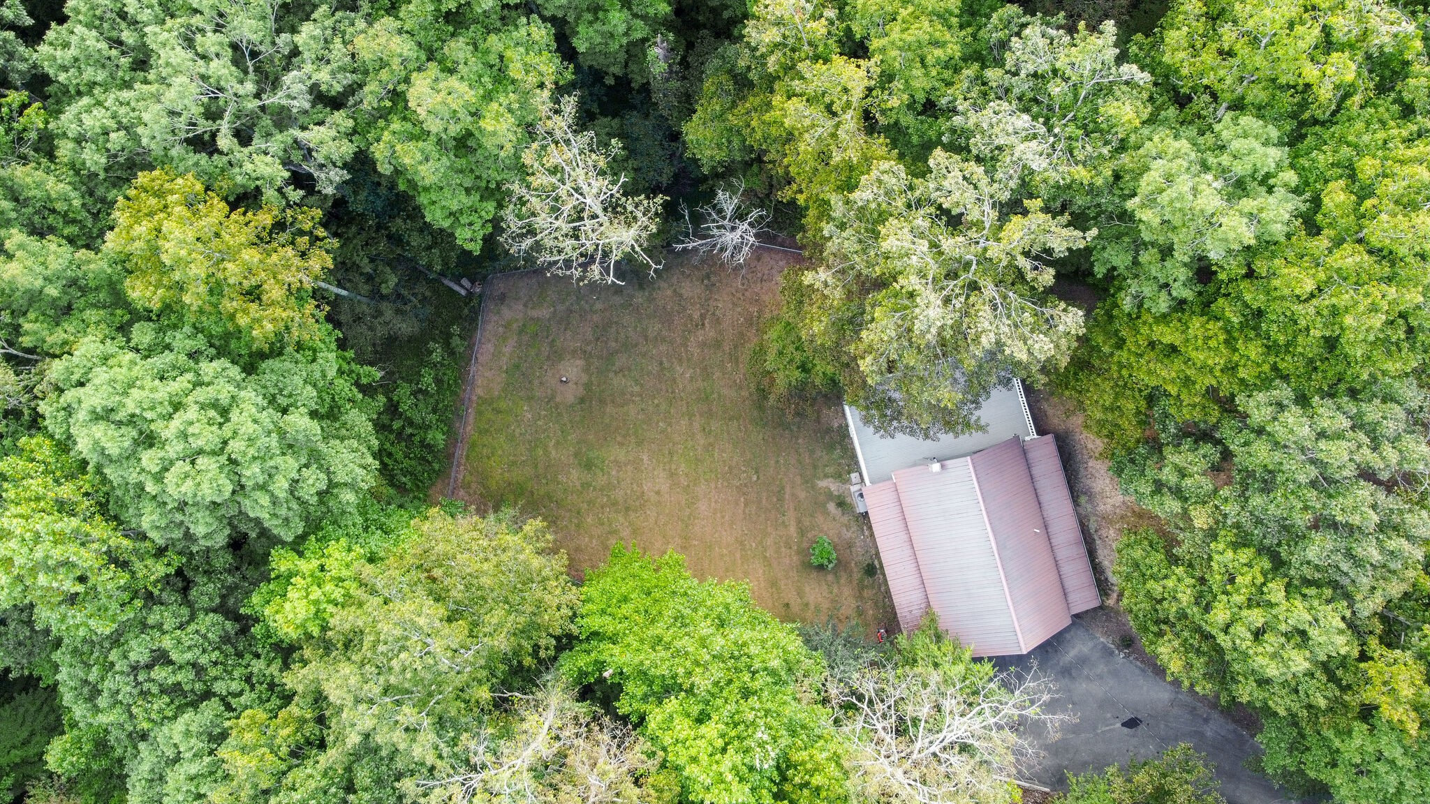 1085 Savely Road Pegram, TN 37143 - Photo 29 of 37 Gallery Image 29