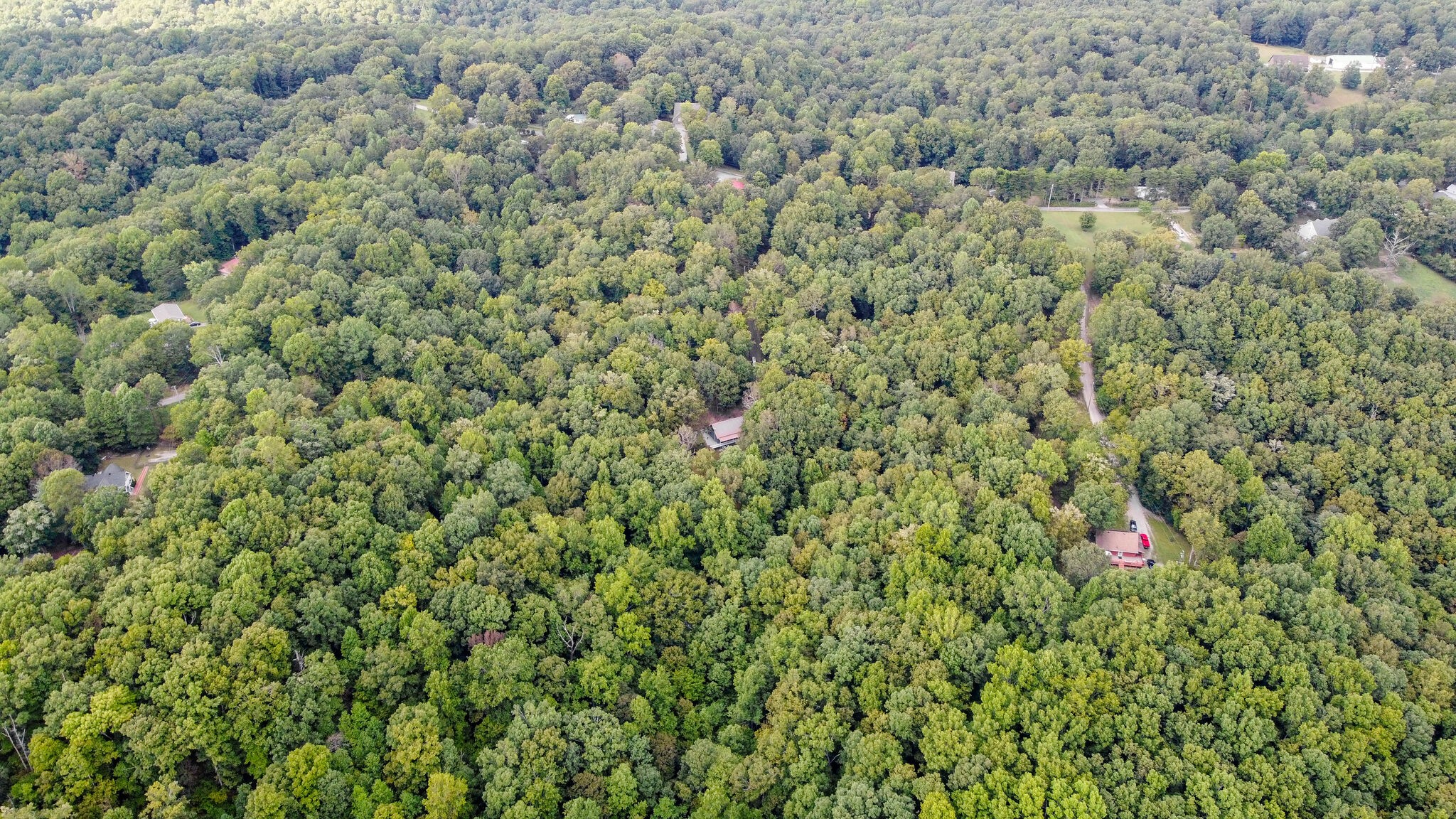 1085 Savely Road Pegram, TN 37143 - Photo 31 of 37 Gallery Image 31