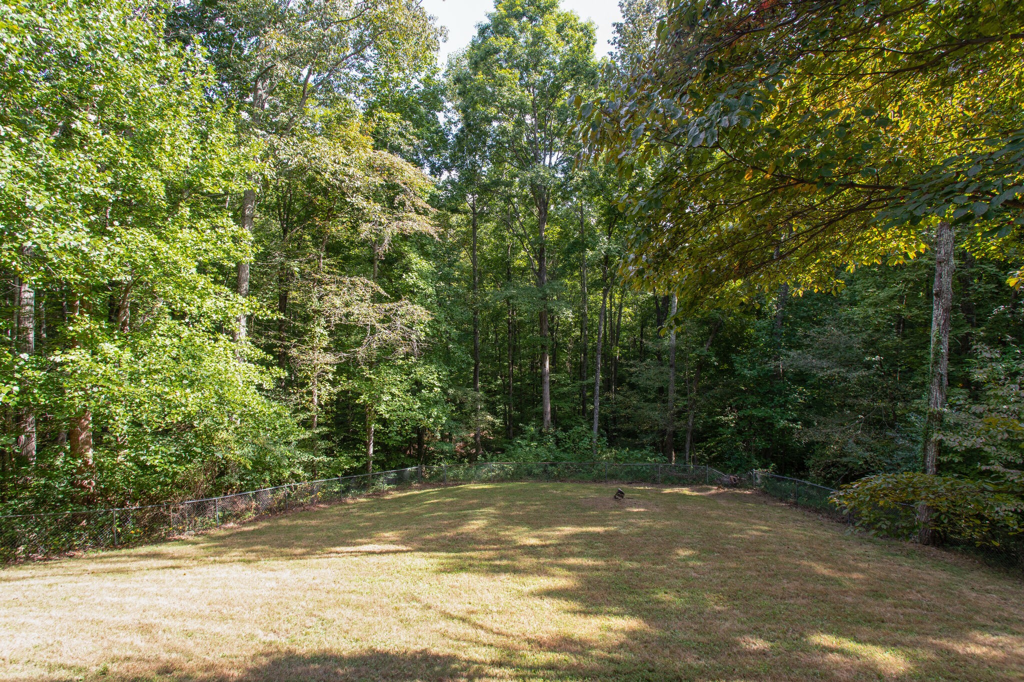 1085 Savely Road Pegram, TN 37143 - Photo 35 of 37 Gallery Image 35