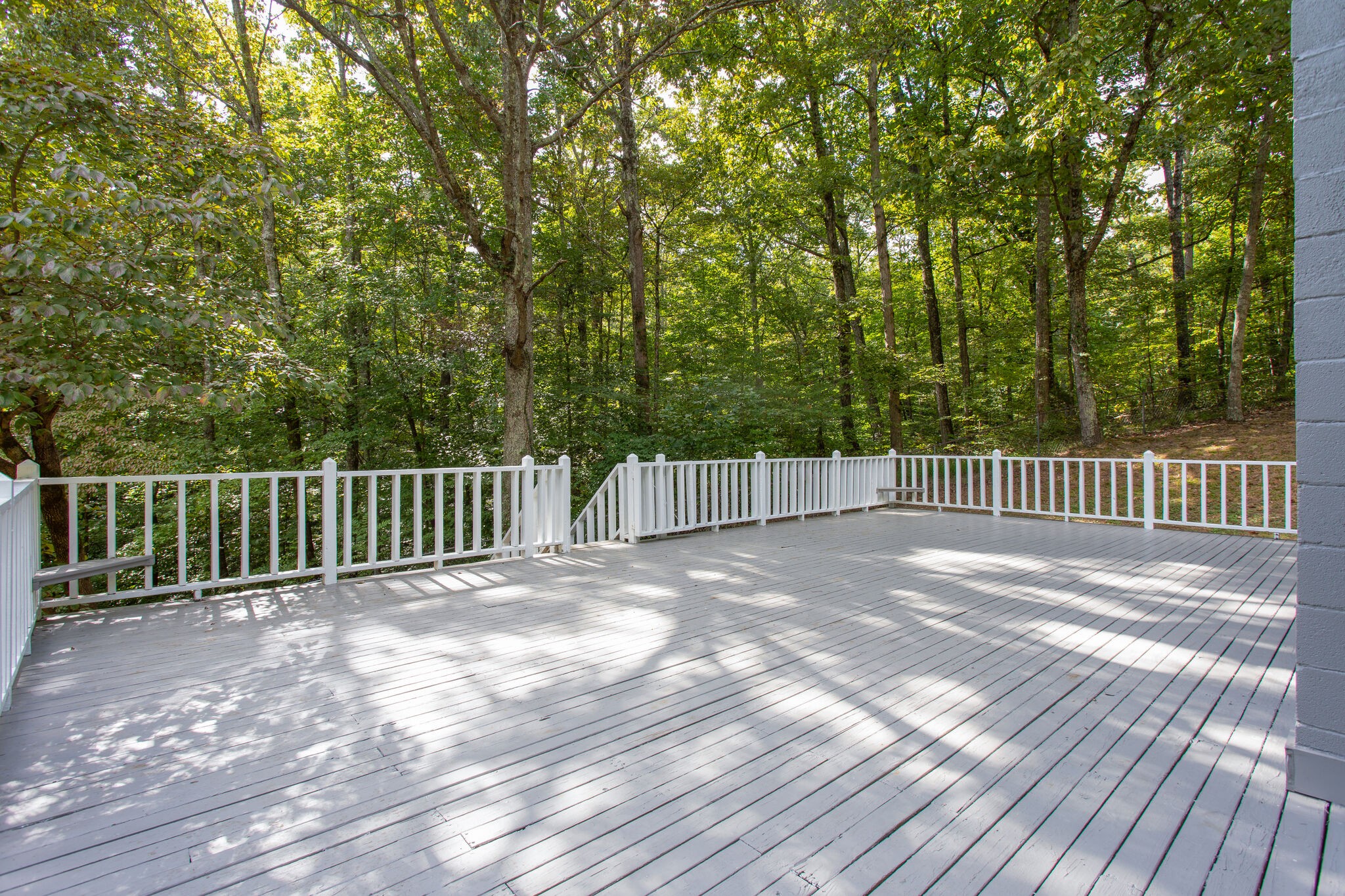 1085 Savely Road Pegram, TN 37143 - Photo 9 of 37 Gallery Image 9
