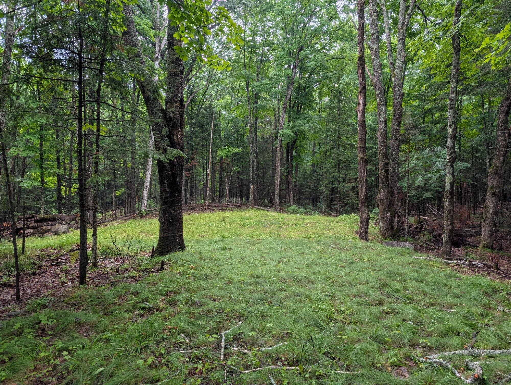 N2498 Duck Lake Road East Watersmeet, MI 49969 - Photo 5 of 11 Gallery Image 5