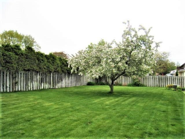3268 Rockland Road Muskegon, MI 49441 - Photo 3 of 28 Backyard