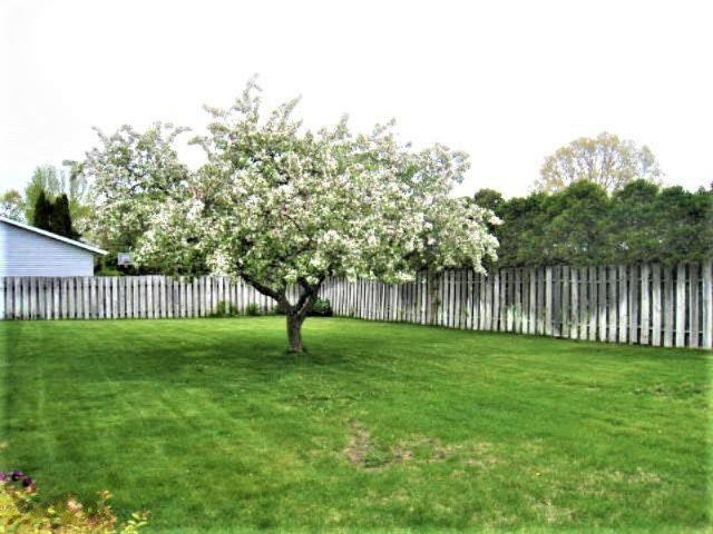 3268 Rockland Road Muskegon, MI 49441 - Photo 5 of 28 Backyard 2