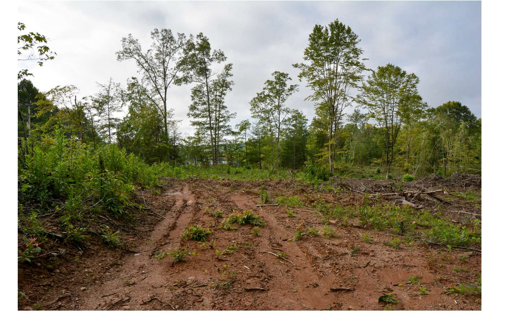 0 Wingate Road Murphy, NC 28906 - Photo 3 of 4 Additional View
