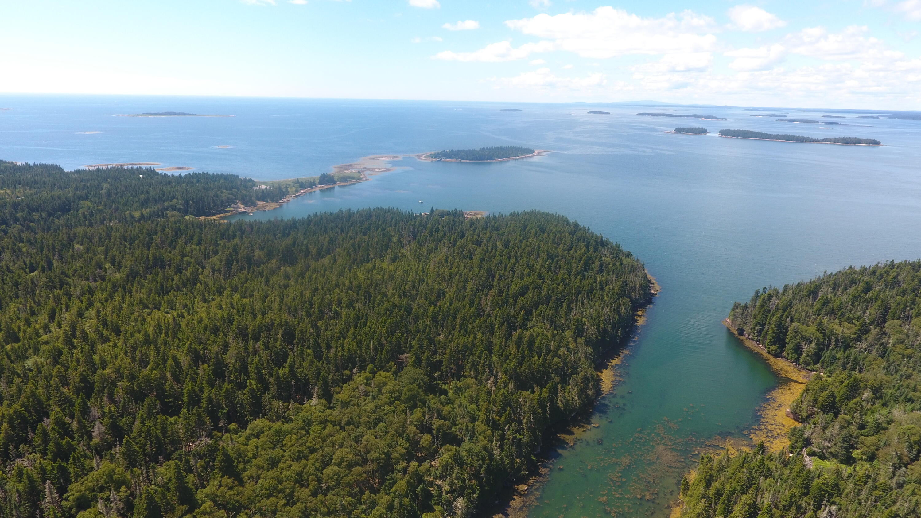 291 Black Duck Cove Road Beals, ME 04611 - Photo 9 of 12 DJI_0219