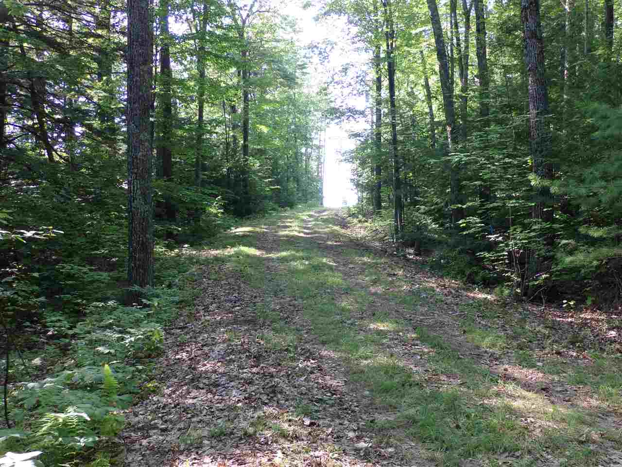 5 Skywatch Road Center Harbor, NH 03226 - Photo 12 of 39 Gallery Image 12
