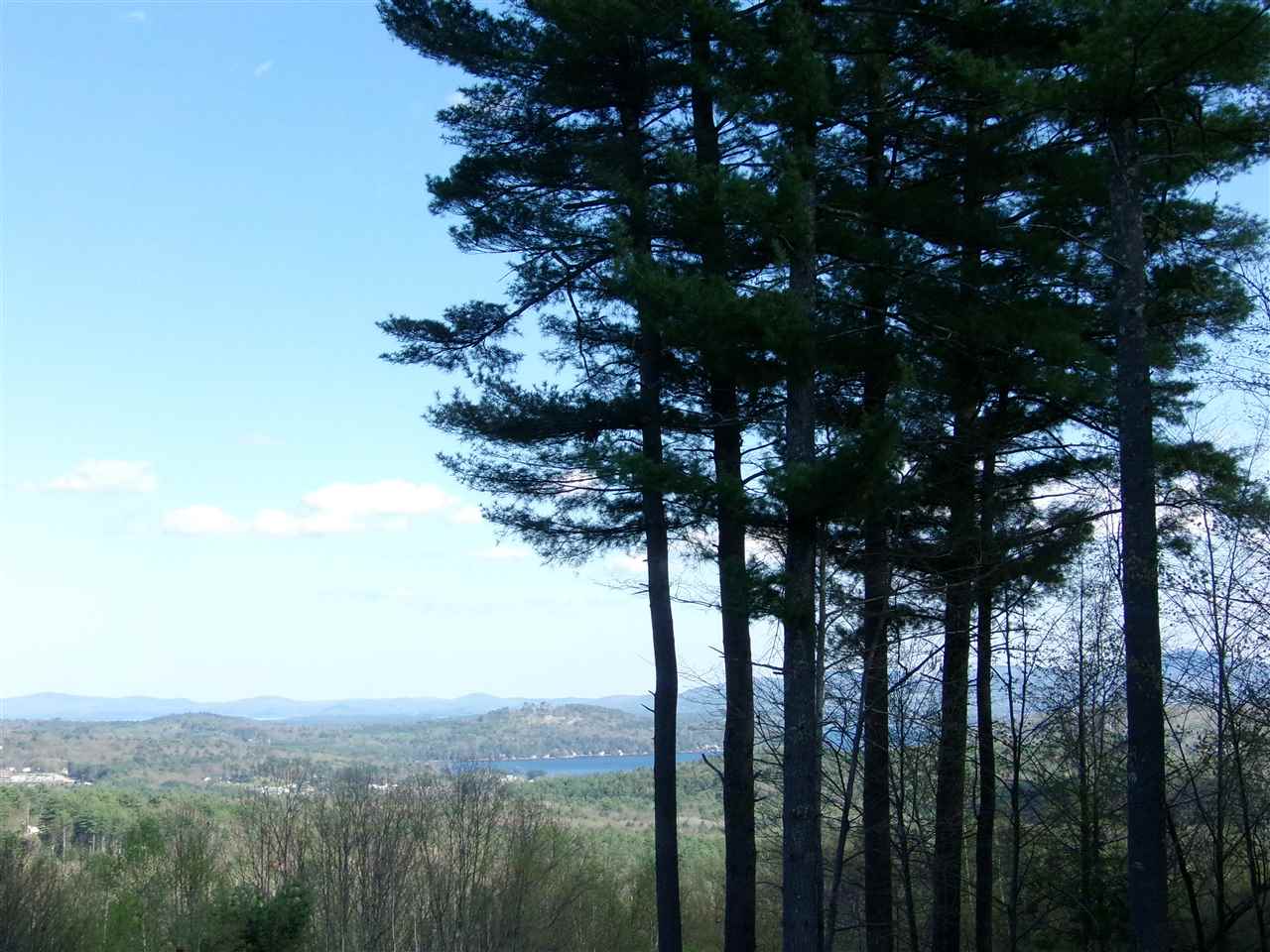 5 Skywatch Road Center Harbor, NH 03226 - Photo 25 of 39 Gallery Image 25