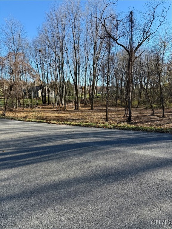 Hunt Road Camillus, NY 13031 - Photo 2 of 6