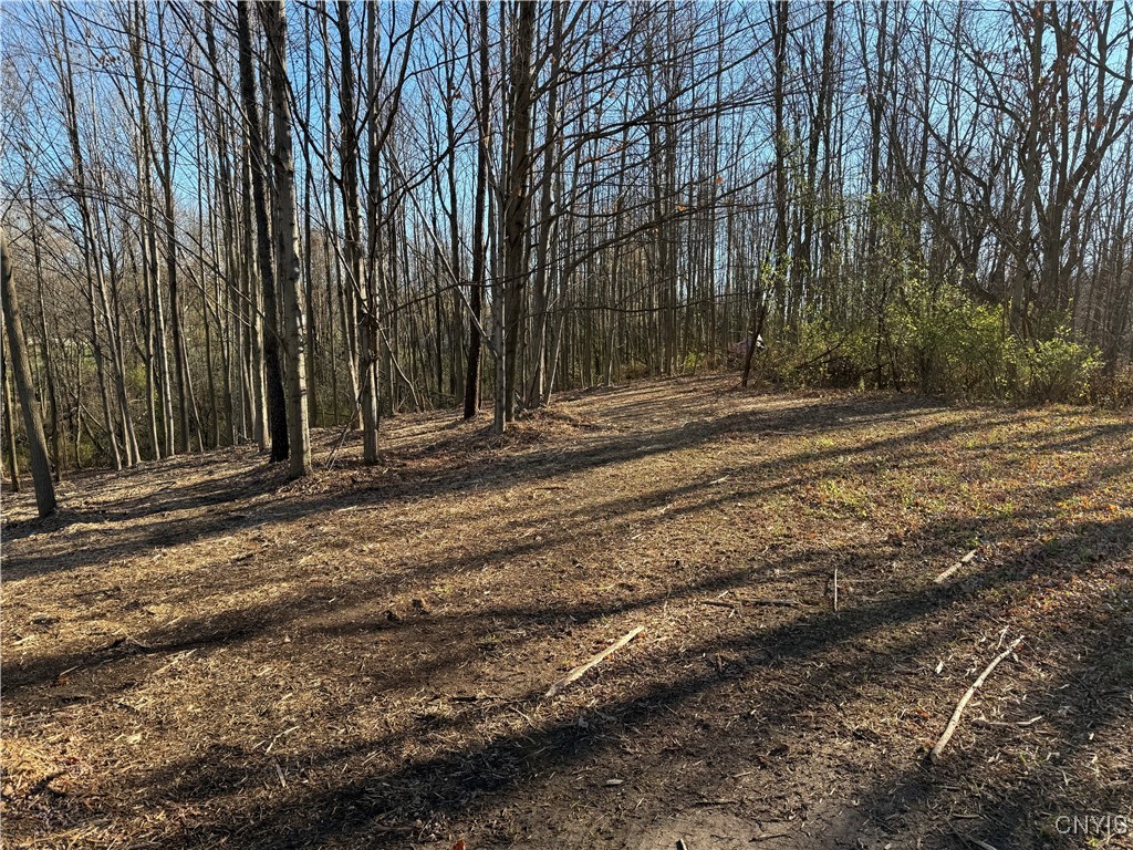 Hunt Road Camillus, NY 13031 - Photo 3 of 6