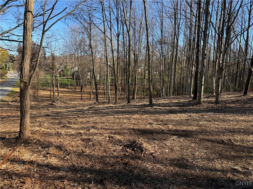 Hunt Road Camillus, NY 13031 - Photo 4 of 6